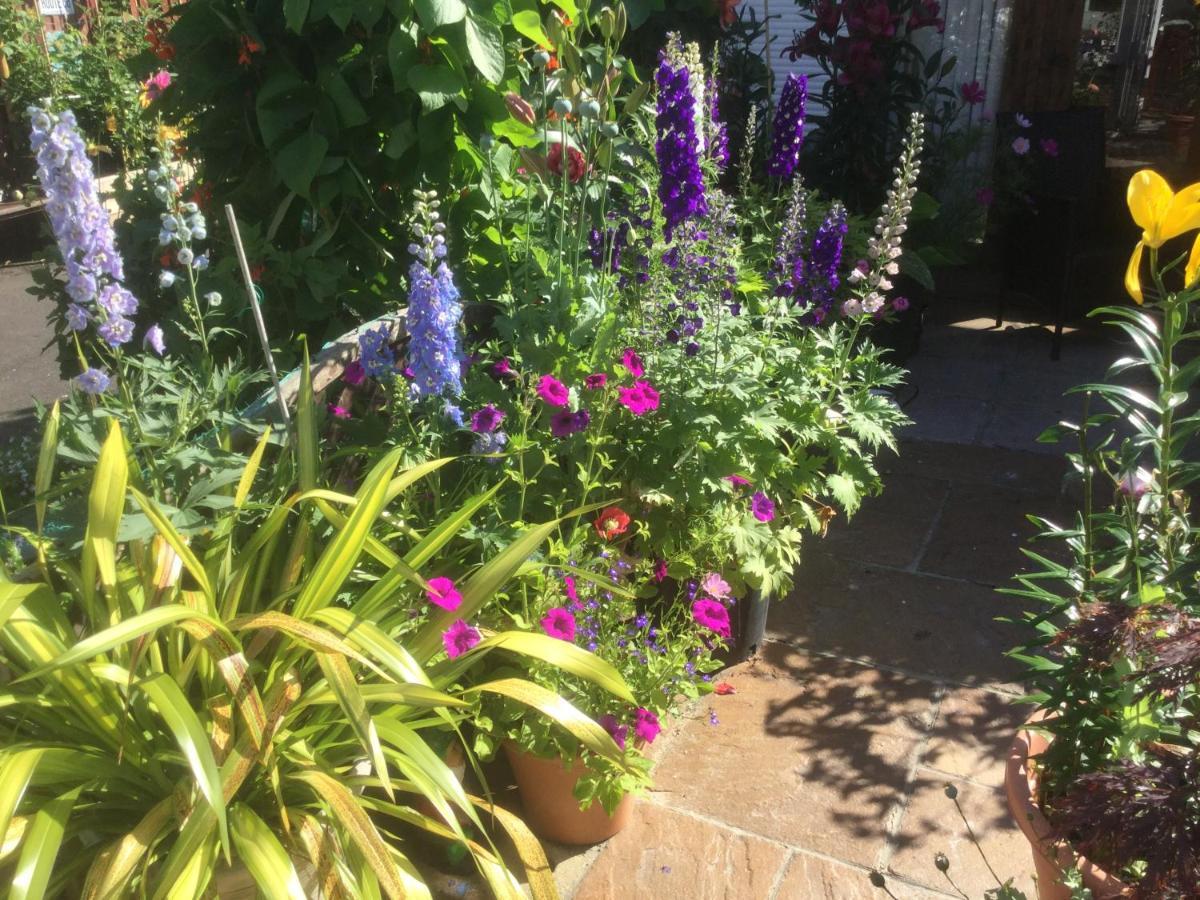 Albertine ,A Warm Welcome Awaits You ,Offering Room Only Or Bed And Breakfast ,Ideal Location For Solent Way ,High Street ,Isle Of Wight ,New Forest Lymington Bagian luar foto